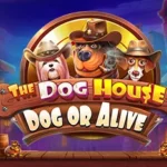 The Dog House - Dog or Alive