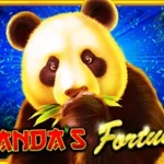 Panda's Fortune